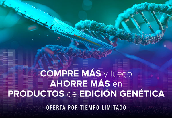 Imagen promocional principal