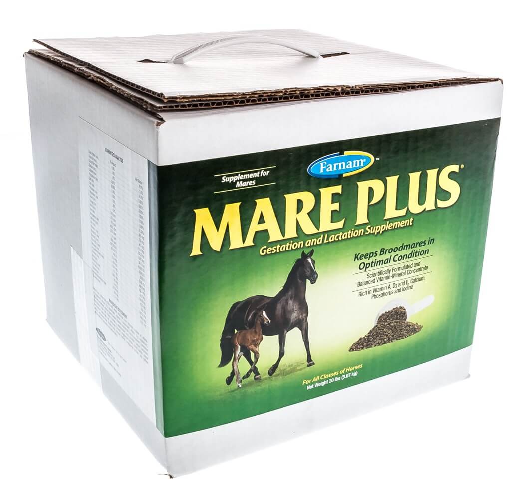 Mare Plus, Gestation and Lactation Supplement, 20 lb eBay