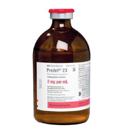 PREDEF® 2X (isoflupredone acetate) Sterile Aqueous Suspension, 100 ml