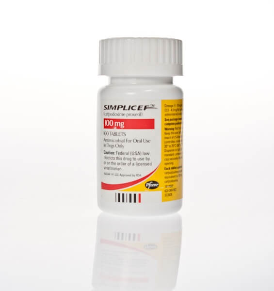 Simplicef™ Tablets | Santa Cruz Animal Health