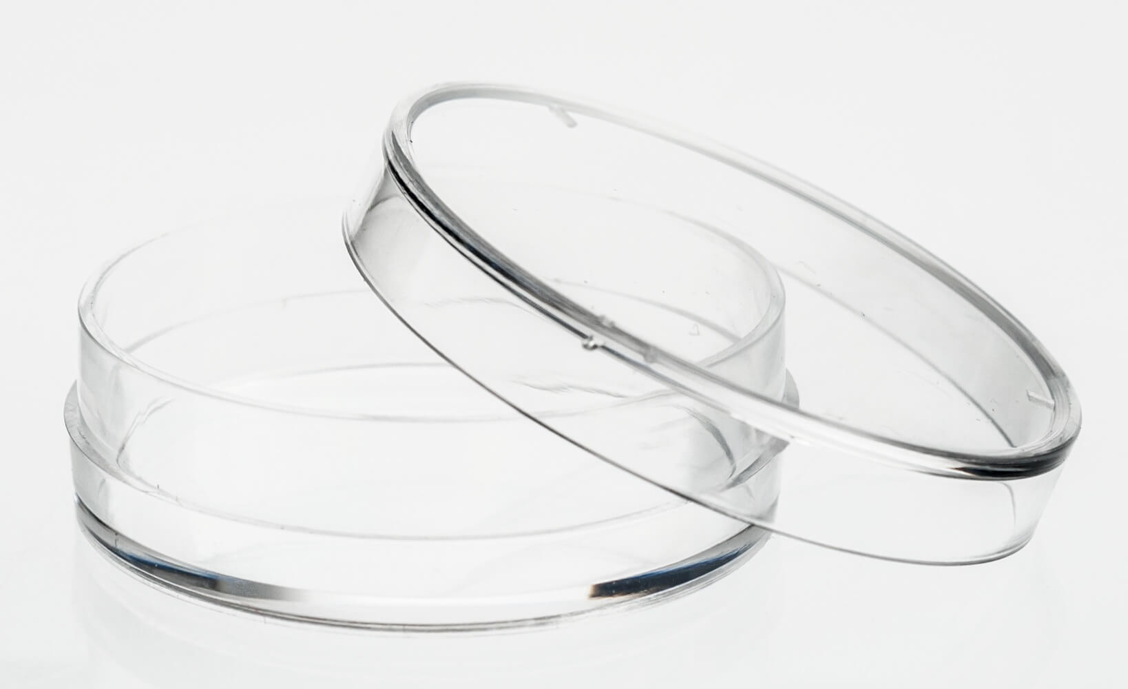 UltraCruz® Tissue Culture Dish, 35mm Santa Cruz Biotech