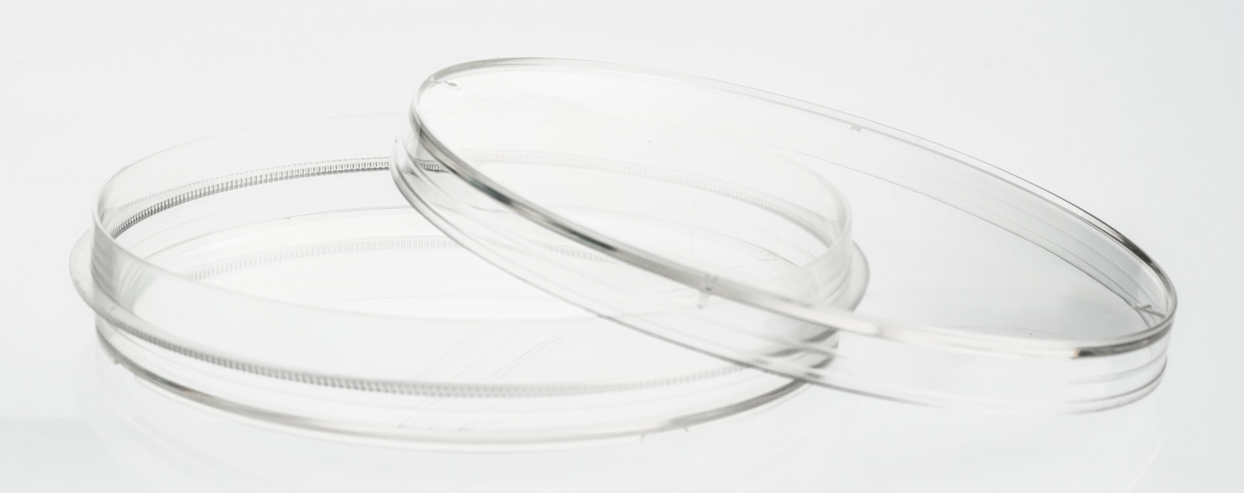 UltraCruz® Tissue Culture Dish, 100mm Santa Cruz Biotech