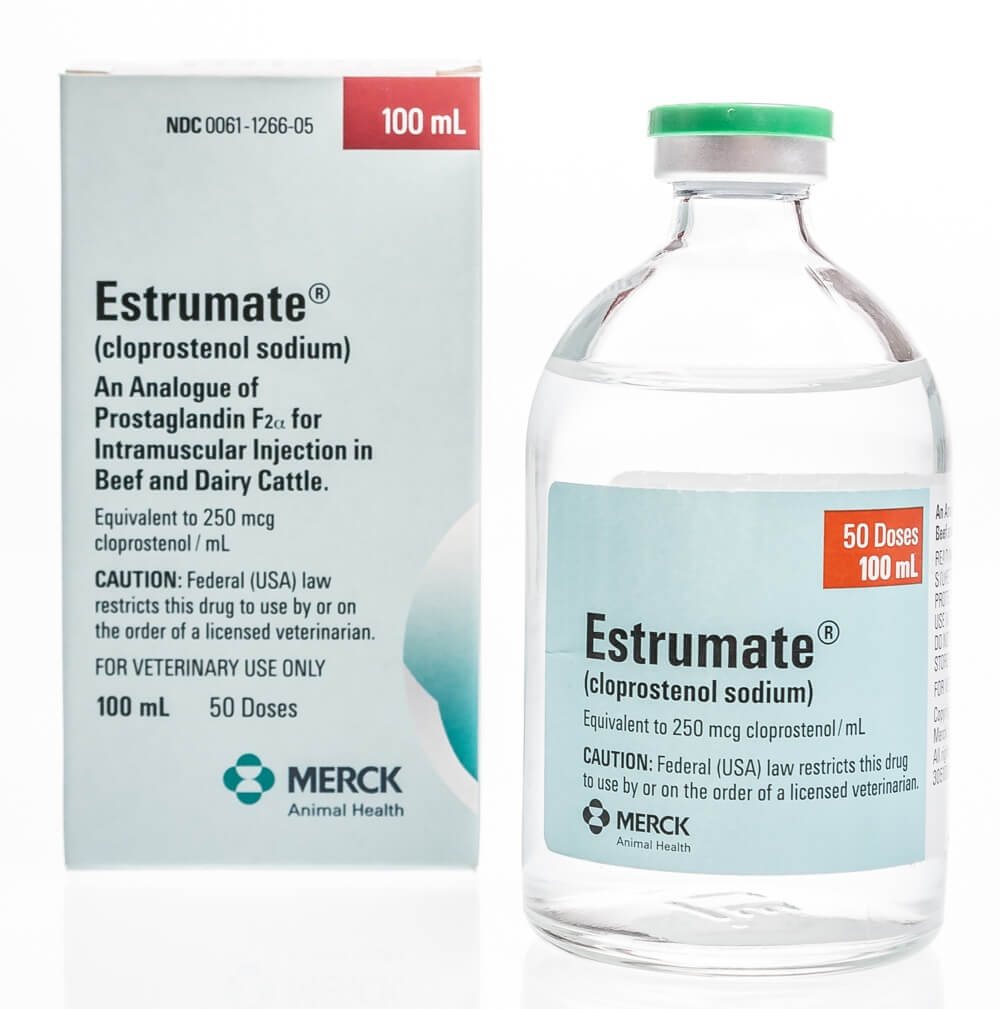 Estrumate Prostaglandin Santa Cruz Animal Health