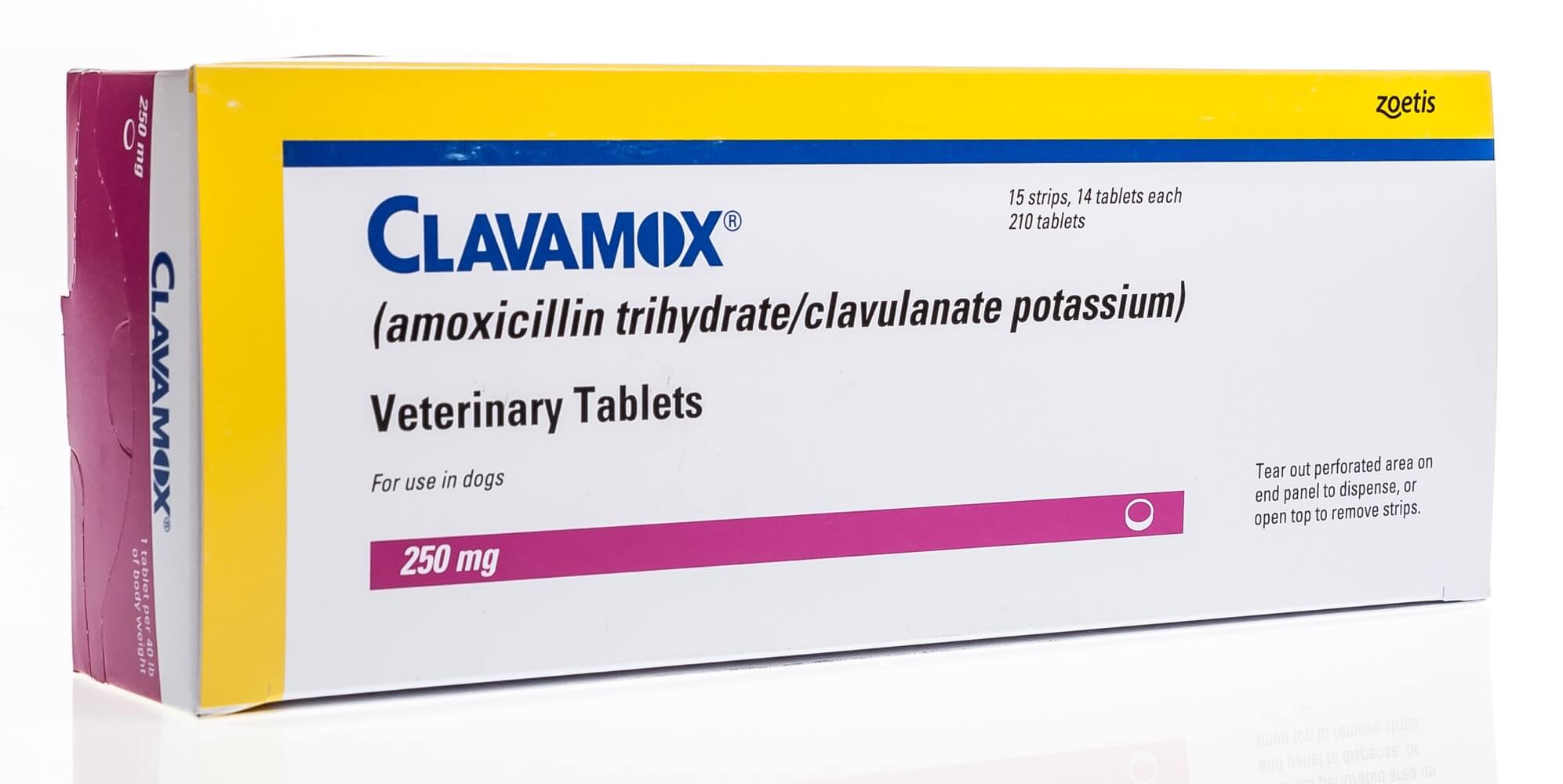 Clavamox® Tablets 250 mg, 210 ct | Santa Cruz Animal Health