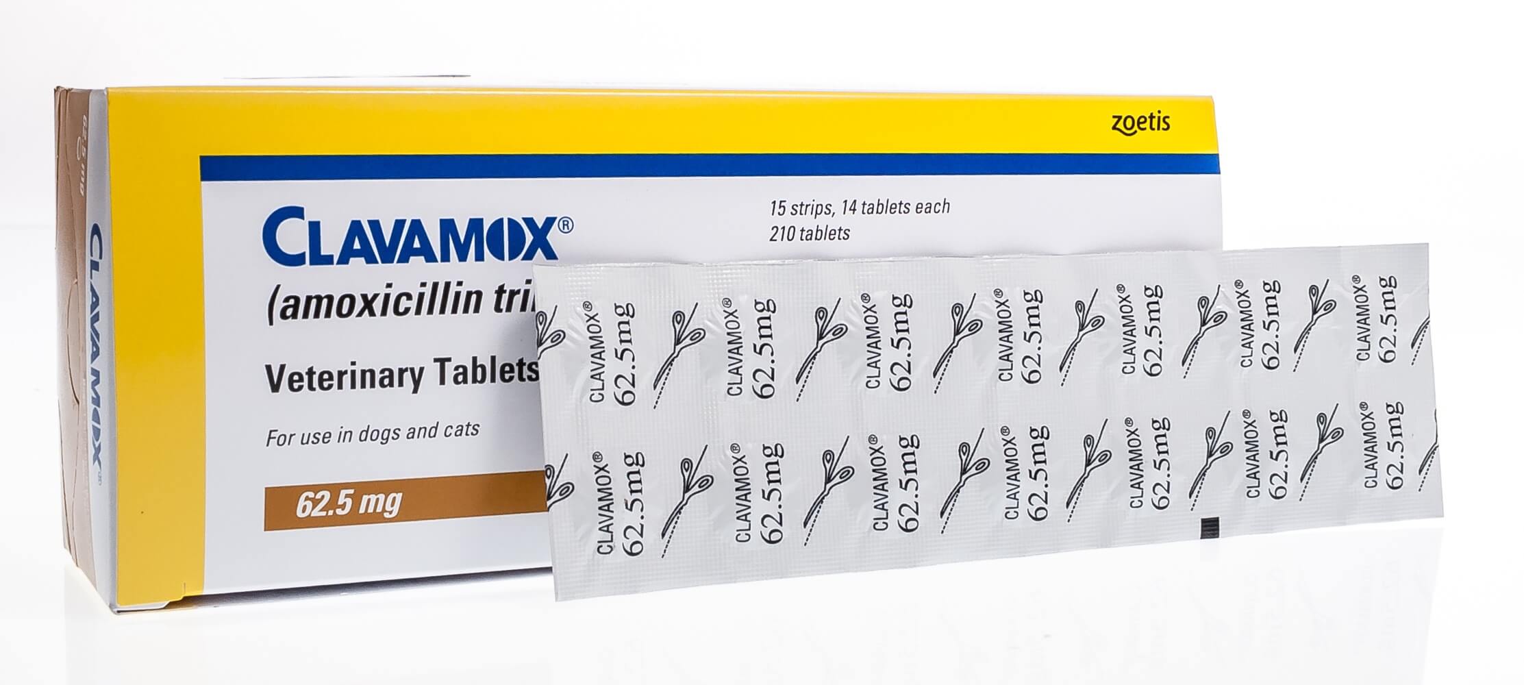 Clavamox® Tablets 62.5 mg, 210 ct Santa Cruz Animal Health