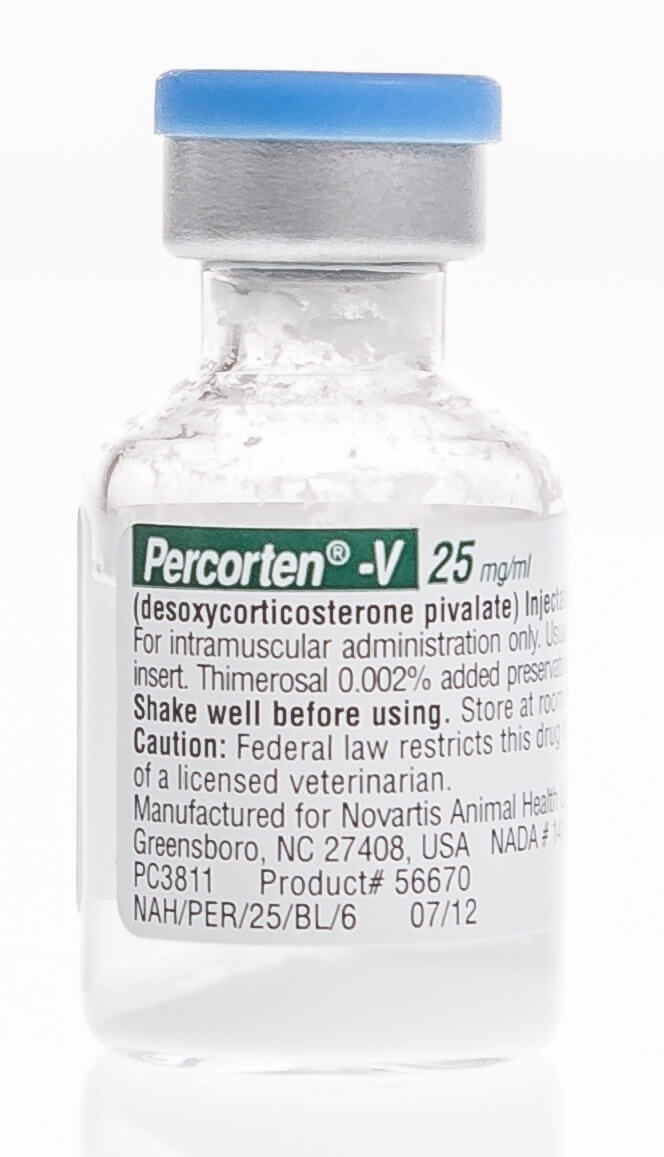 Percorten®-V Injection, 4 ml | Santa Cruz Animal Health