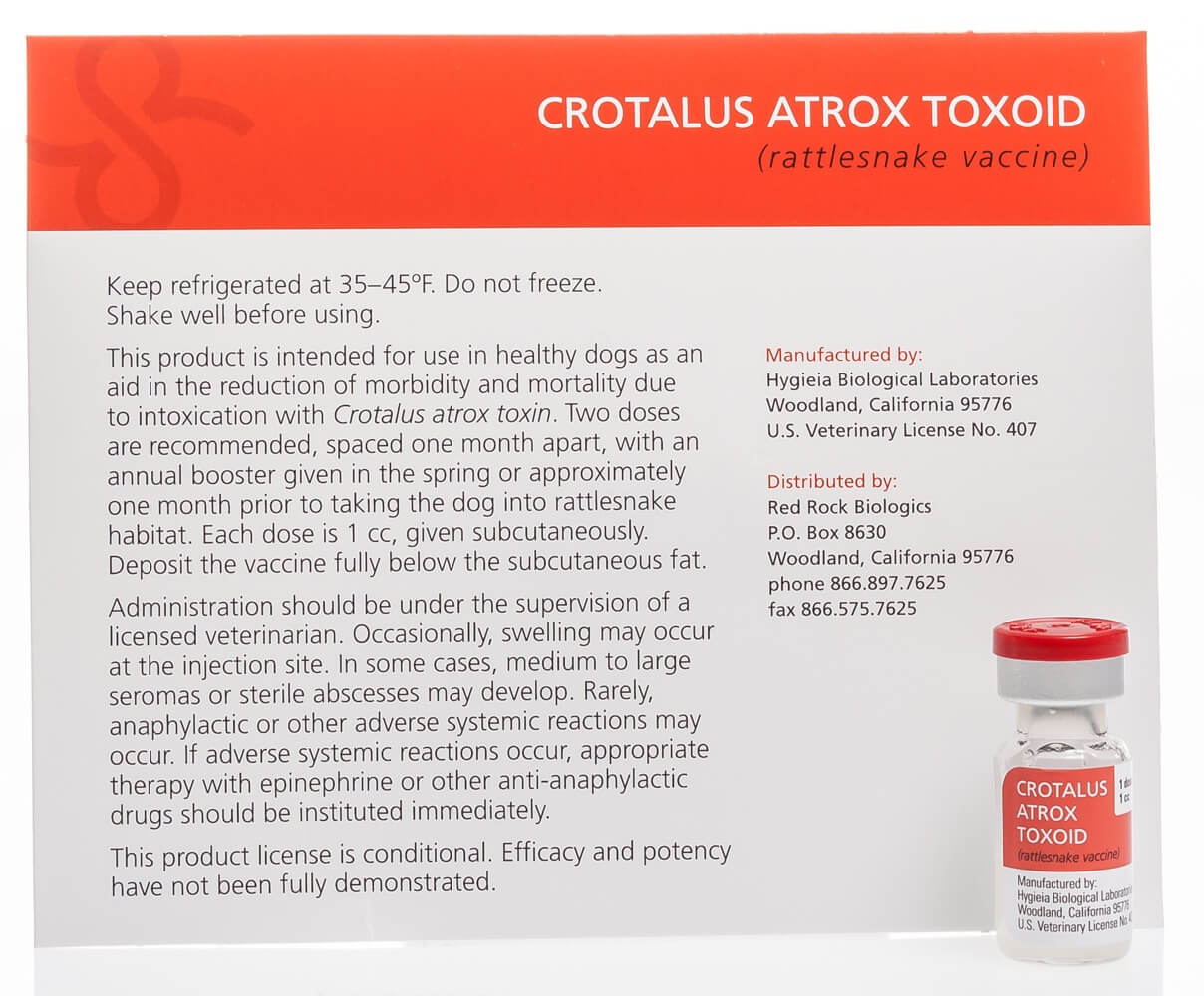 Rattlesnake Vaccine for Dogs | Santa Cruz Animal Health