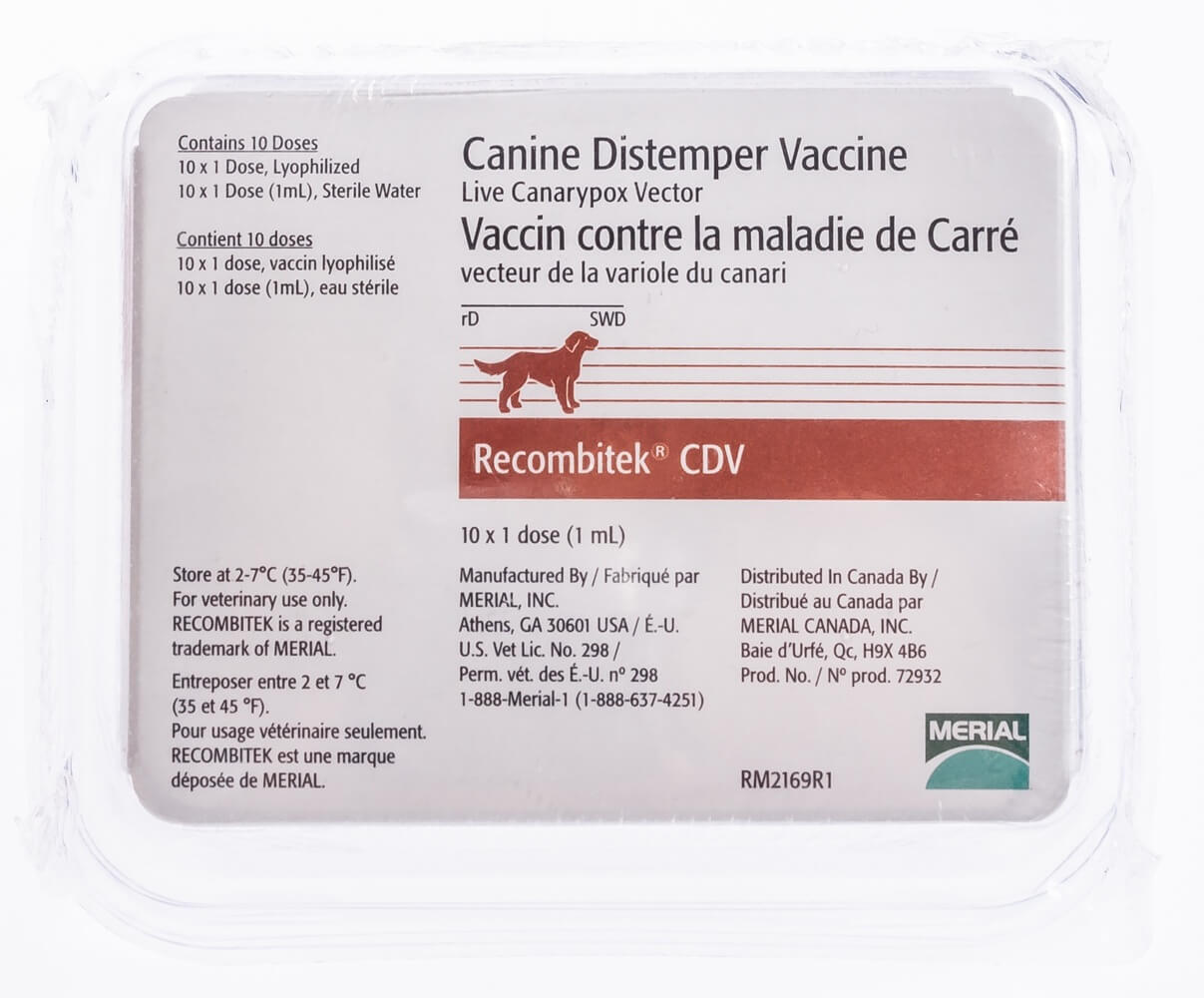 CDV (distemper), 10 x 1 ds Santa Cruz Animal Health