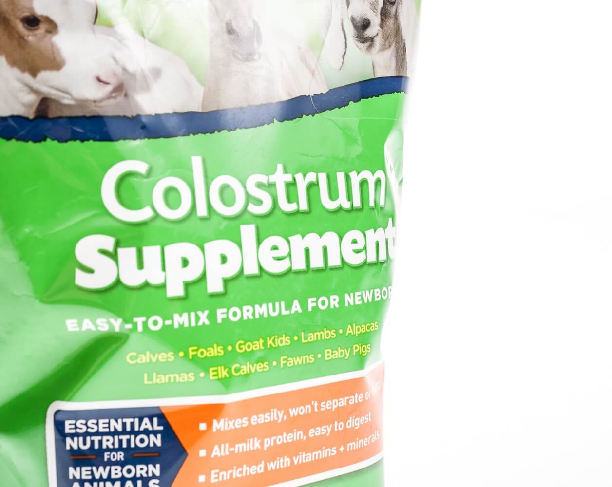 Colostrum Supplement, 16 oz | Santa Cruz Animal Health