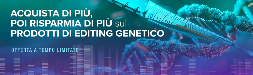 Immagine promozionale principale