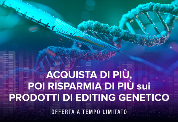 Immagine promozionale principale