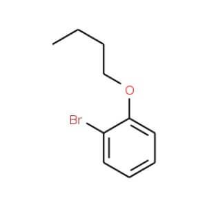 Bromo Butoxybenzene Scbt Santa Cruz Biotechnology