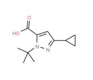 1 Tert Butyl 3 Cyclopropyl 1H Pyrazole 5 Carboxylic Acid SCBT Santa