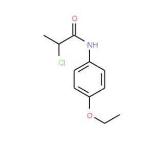 2 Chloro N 4 Ethoxyphenyl Propanamide SCBT Santa Cruz Biotechnology