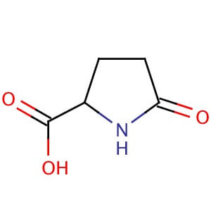 Pyrrolidone Carboxylic Acid Cas Scbt Santa Cruz