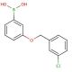 Chlorobenzyloxy Phenylboronic Acid Cas Scbt