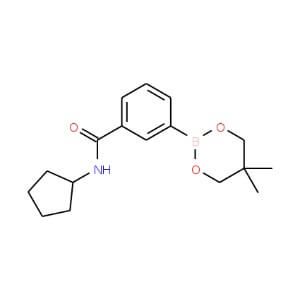 Cyclopentylaminocarbonyl Phenylboronic Acid Neopentyl Glycol Ester