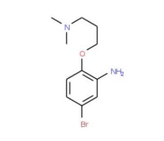 Bromo Dimethylamino Propoxy Aniline Scbt Santa Cruz