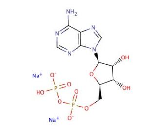 Adenosine Diphosphate Disodium Salt Cas Scbt Santa