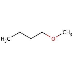 Butyl Methyl Ether CAS 628 28 4 SCBT Santa Cruz Biotechnology