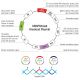 Control CRISPR Activation Plasmid SCBT Santa Cruz Biotechnology