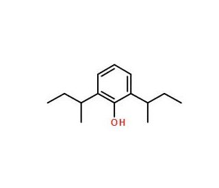 Di Sec Butylphenol CAS 5510 99 6 SCBT Santa Cruz Biotechnology