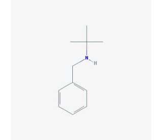 N Benzyl Tert Butylamine Cas Scbt Santa Cruz Biotechnology