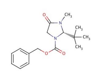 S 1 Z 2 Tert Butyl 3 Methyl 4 Imidazolidinone CAS 119906 49 9