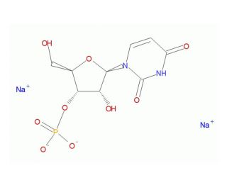 Uridine Monophosphate Disodium Salt Cas Scbt Santa