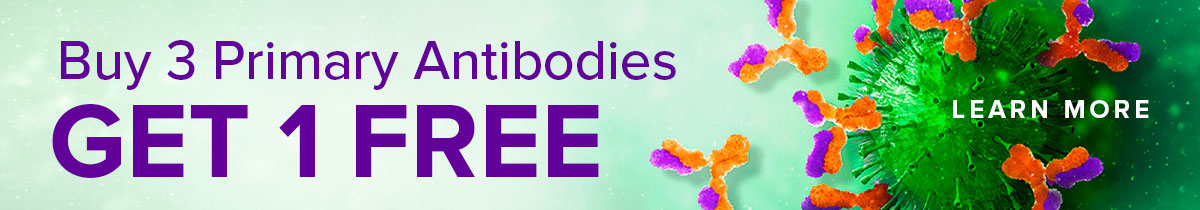 Antibodies Banner