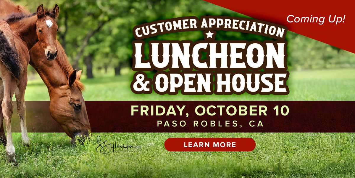 Customer Appreciation Luncheon and Open House