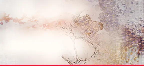 SCBT - Primary Antibodies Featured Section