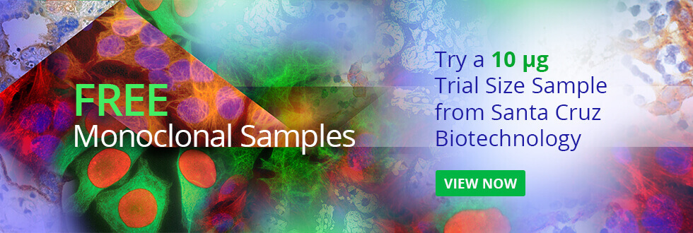 Monoclonal antibody 10 µg trial size samples.