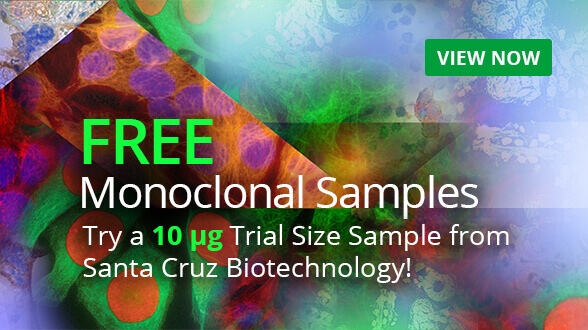 Antibodies, Gene Editors, Chemicals & Lab Supplies For Research