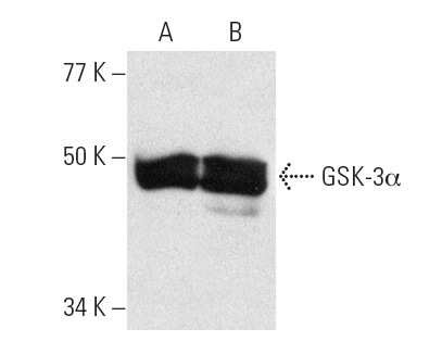 SC-5264