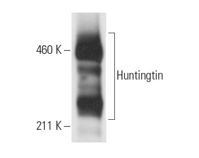 SC-47759