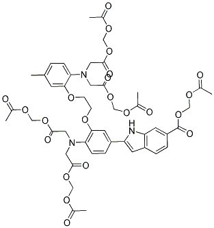 SC-202181