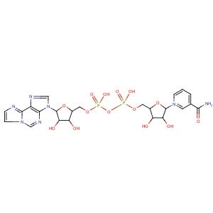 すぬ Nicotinamide 1,N6-ethenoadenine dinucleotide（SCB-SC215559-5MG