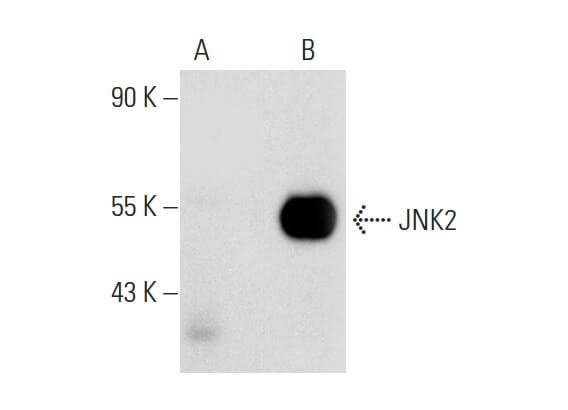 SC-271133