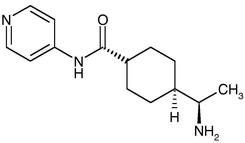 SC-3536A