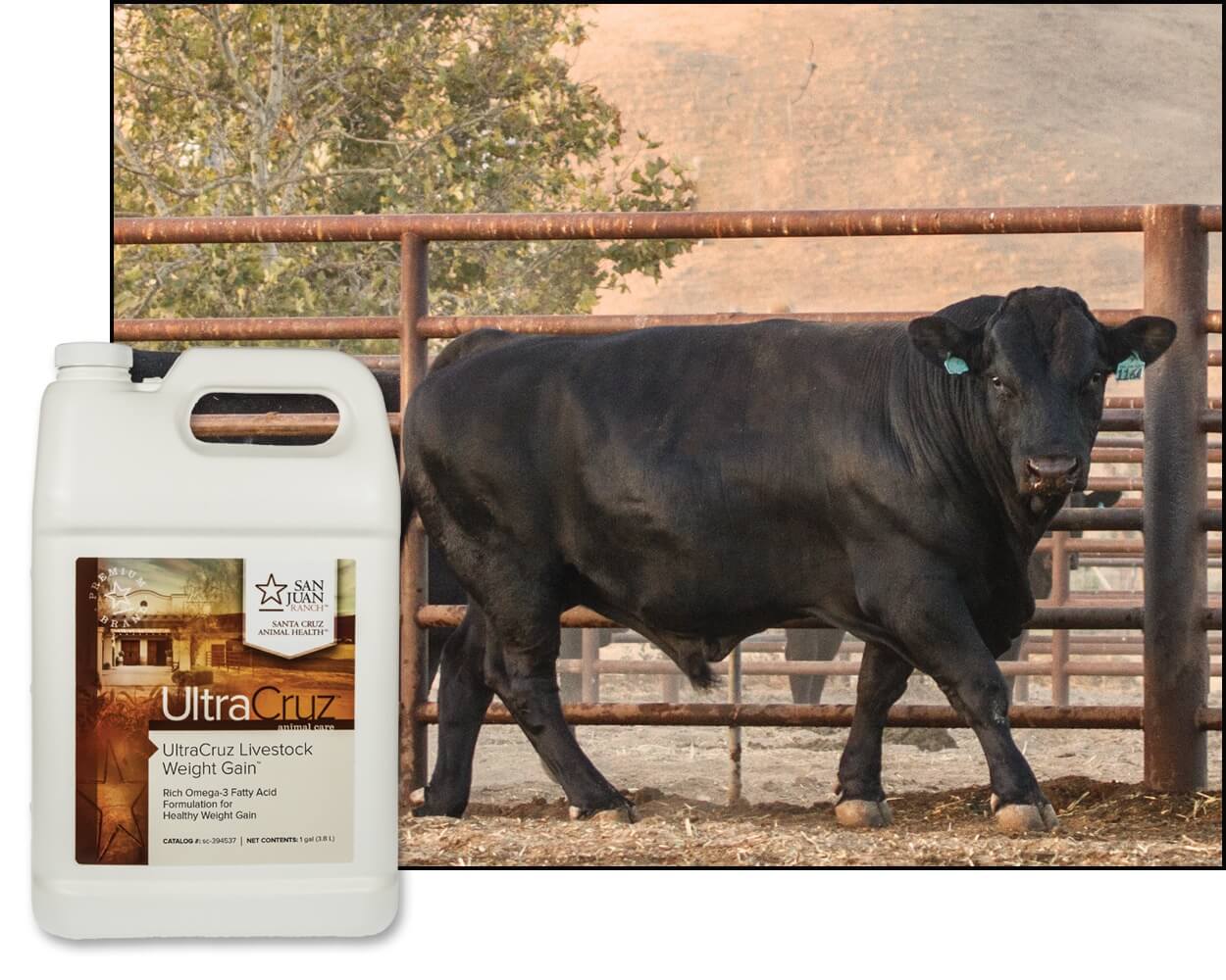 UltraCruz Livestock Weight Gain Supplement, 1 Gallon, Liquid (32 Day