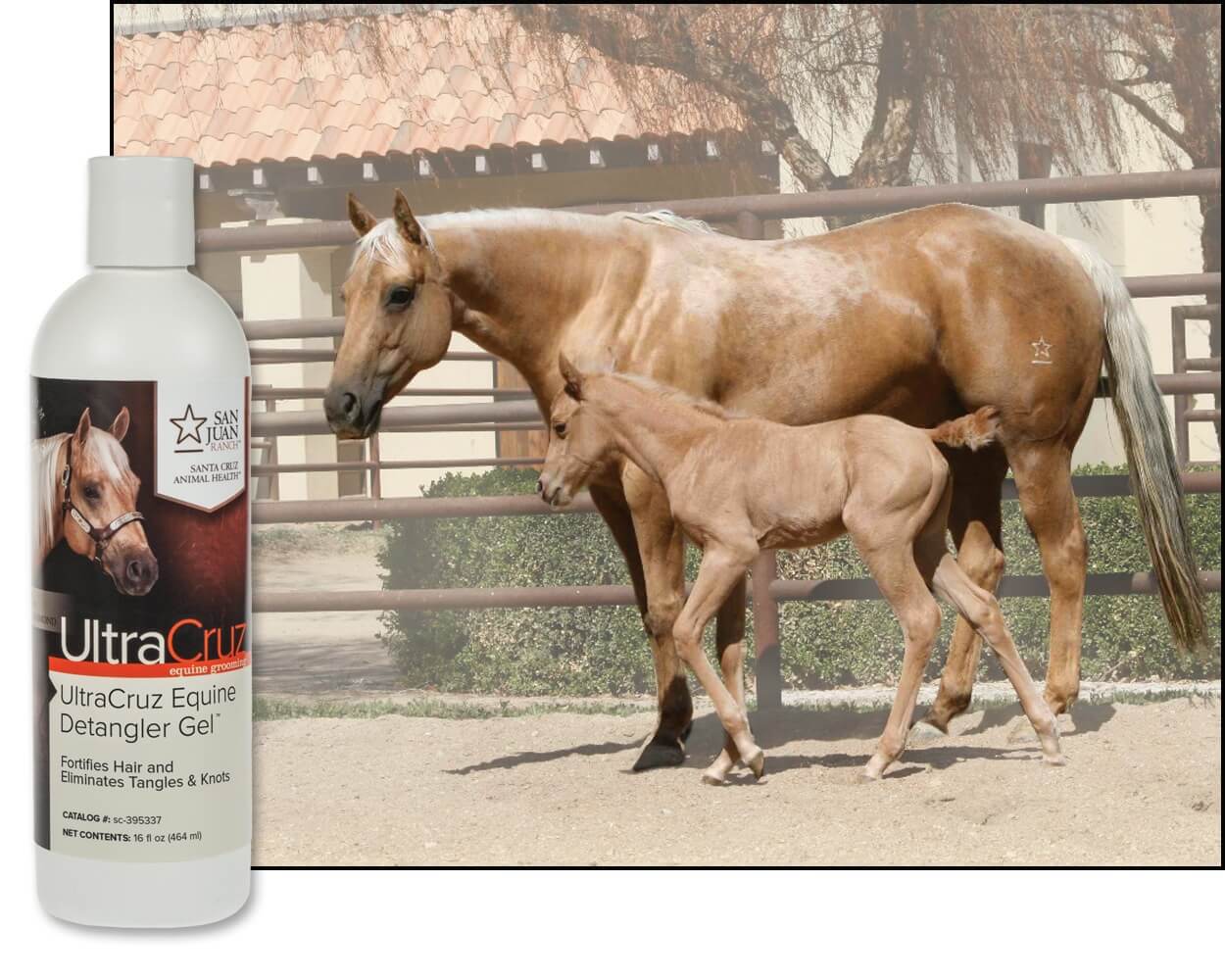 UltraCruz Equine Detangler Gel for Horses, 16 oz 810500023023 eBay