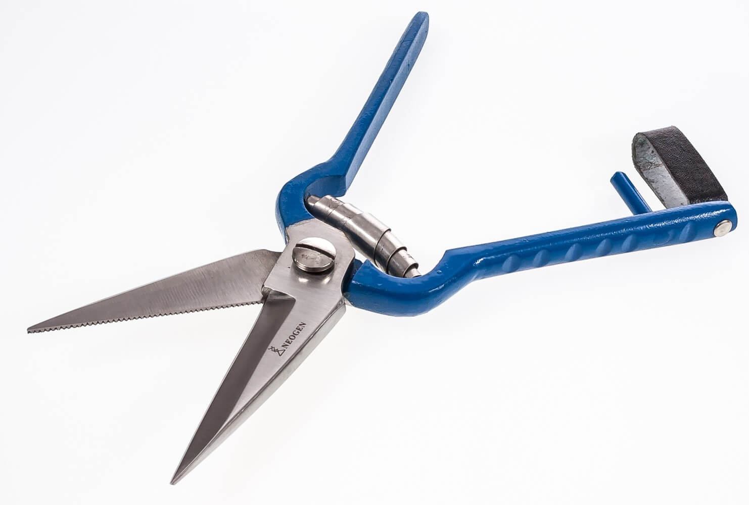 Hoof Rot Shears 726087098012 eBay