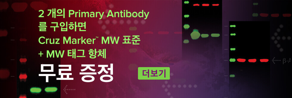 Free Cruz Marker MW Standards and MW Tag antibody with purchase of 2 primary antibodies.