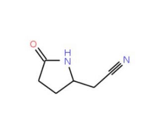 (5-oxopyrrolidin-2-yl)acetonitrile (CAS 98134-78-2) - chemical structure image