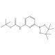 (6-((tert-butoxycarbonyl)amino)pyridine-2-yl)boronic acid pinacol - chemical structure image