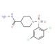 1-[(2,5-Dichlorophenyl)sulfonyl]piperidine-4-carbohydrazide - chemical structure image