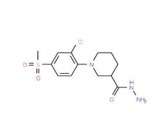 1-[(2-Chloro-4-methylsulfonyl)phenyl]piperidine-3-carbohydrazide - chemical structure image
