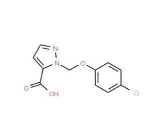 1-[(4-Chlorophenoxy)methyl]-1H-pyrazole-5-carboxylic acid - chemical structure image