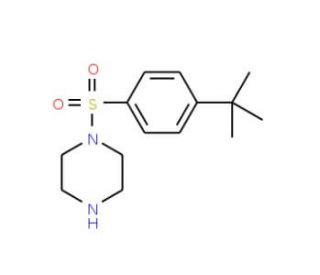 1-[(4-tert-Butylphenyl)sulfonyl]piperazine (CAS 379244-68-5) - chemical structure image